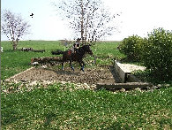 winsom3003001.jpg